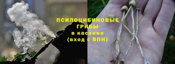 PSILOCYBIN Гусь-Хрустальный