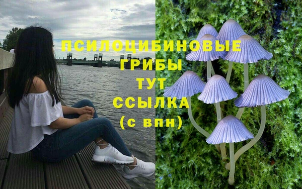 МДПВ Гусиноозёрск