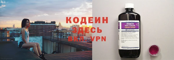 PSILOCYBIN Гусь-Хрустальный
