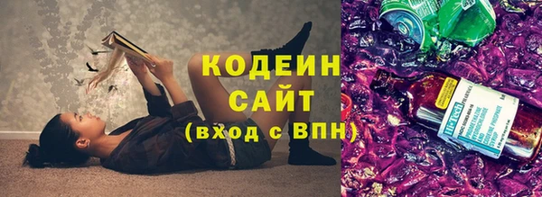 PSILOCYBIN Гусь-Хрустальный