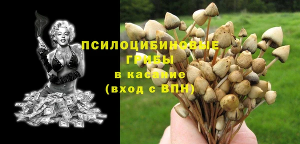 прущая мука Дмитровск