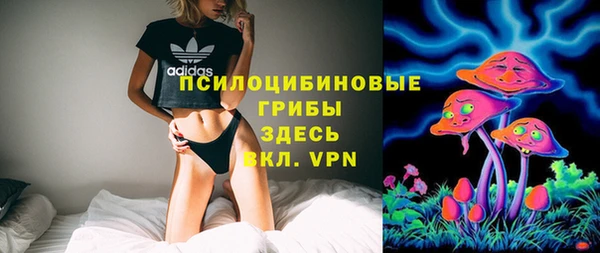 МДПВ Гусиноозёрск