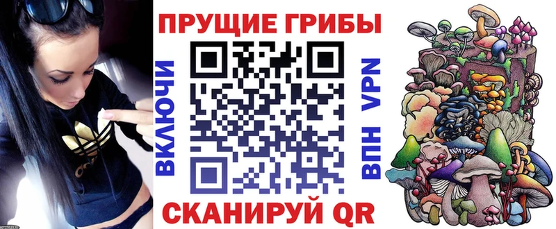 Купить где  Канск  Псилоцибиновые грибы мухоморы 